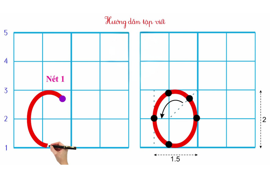 Nét cong kín hình giống chữ O