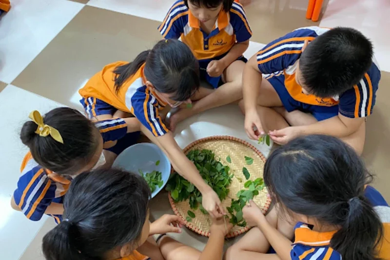 Học nhặt rau - Hoạt động trong lớp Kỹ năng sống thế kỷ 21