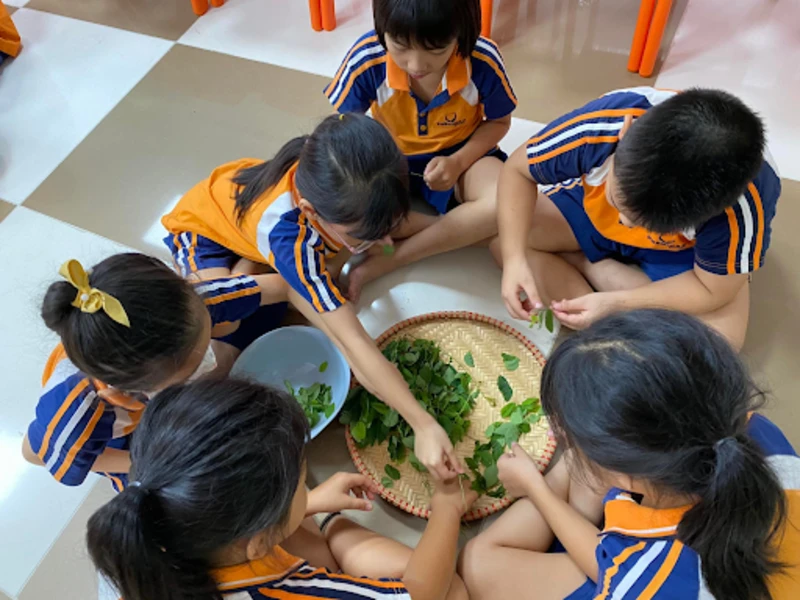 Học nhặt rau - Hoạt động trong lớp Kỹ năng sống thế kỷ 21