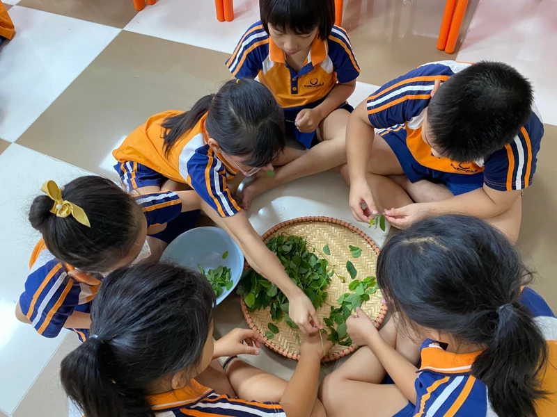 Học nhặt rau - Hoạt động trong lớp Kỹ năng sống thế kỷ 21