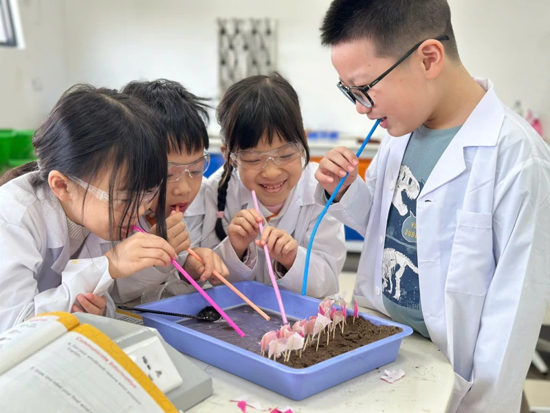 Học sinh chủ động thảo luận, trao đổi và hỗ trợ lẫn nhau để cùng tiến bộ